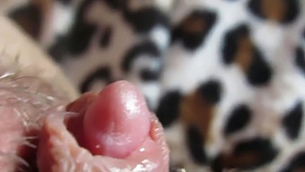 Intense Close-Up Of My Swollen Clit