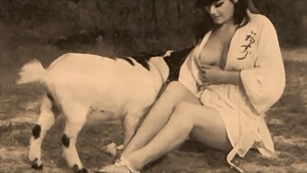Classic And Taboo: Vintage Porn With Dogs